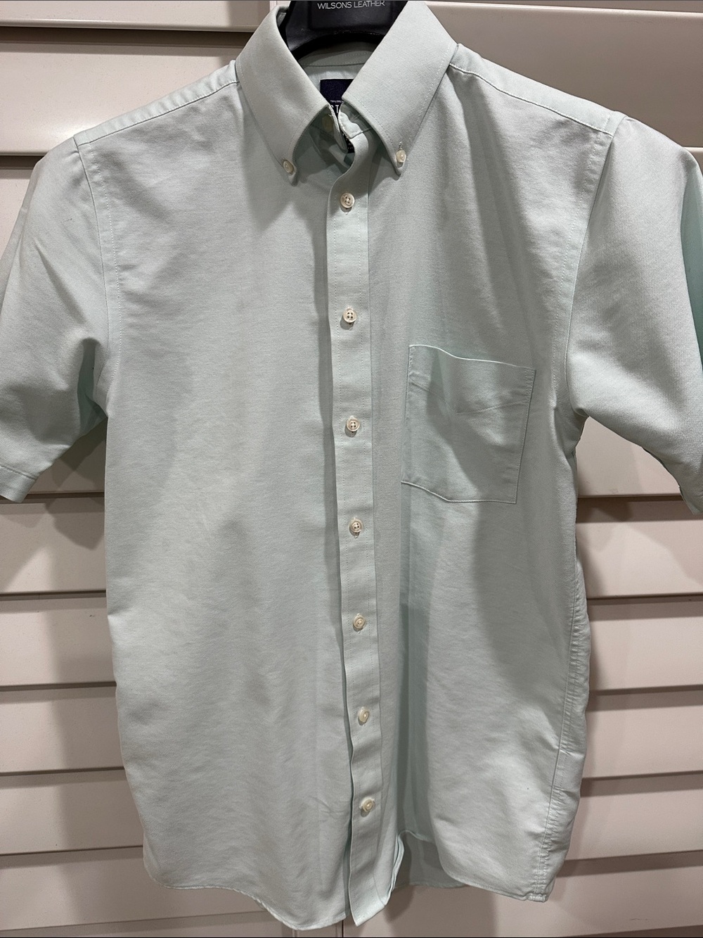 Classic Button-Down Short Sleeve Shirt in Mint